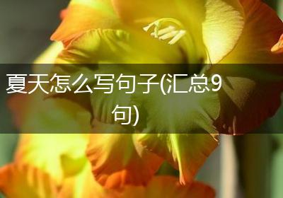 夏天怎么写句子(汇总9句)