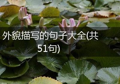 外貌描写的句子大全(共51句)