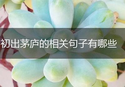 初出茅庐的相关句子有哪些