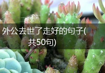 外公去世了走好的句子(共50句)