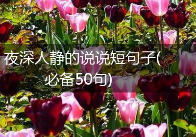 夜深人静的说说短句子(必备50句)