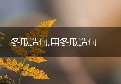 冬瓜造句,用冬瓜造句