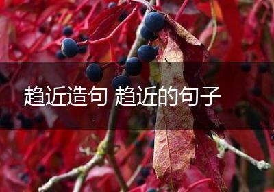 趋近造句 趋近的句子