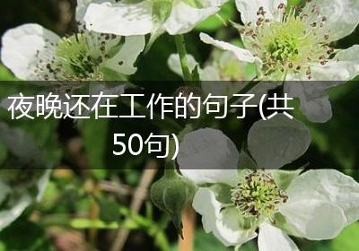 夜晚还在工作的句子(共50句)