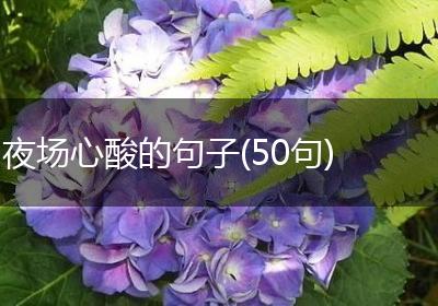 夜场心酸的句子(50句)