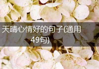 天晴心情好的句子(通用49句)