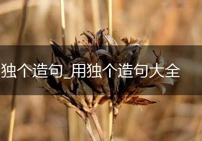独个造句_用独个造句大全