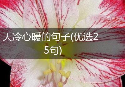 天冷心暖的句子(优选25句)