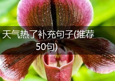天气热了补充句子(推荐50句)