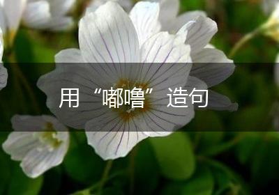 用“嘟噜”造句