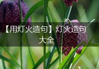 【用灯火造句】灯火造句大全