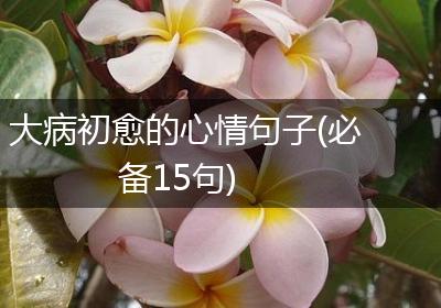 大病初愈的心情句子(必备15句)