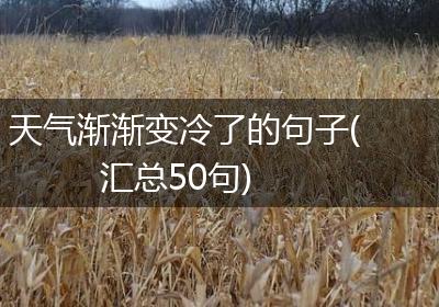 天气渐渐变冷了的句子(汇总50句)