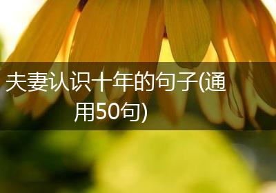 夫妻认识十年的句子(通用50句)