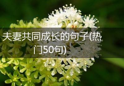 夫妻共同成长的句子(热门50句)