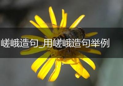 嵯峨造句_用嵯峨造句举例
