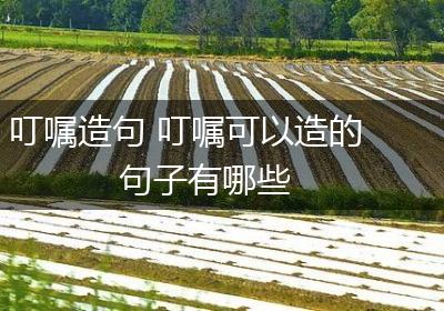 叮嘱造句 叮嘱可以造的句子有哪些