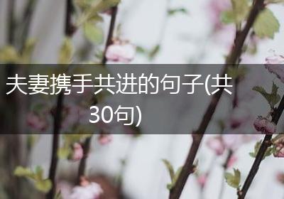 夫妻携手共进的句子(共30句)