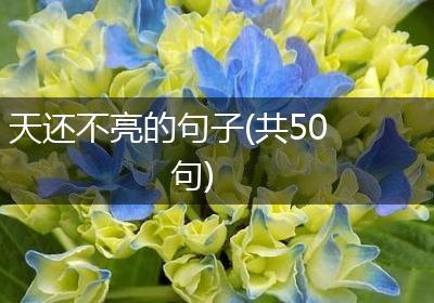 天还不亮的句子(共50句)