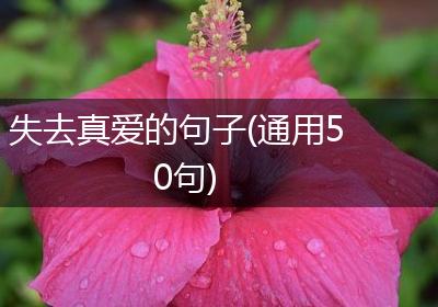 失去真爱的句子(通用50句)