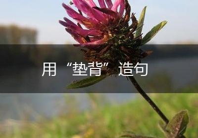 用“垫背”造句