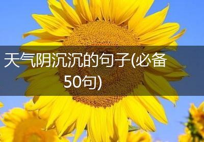 天气阴沉沉的句子(必备50句)