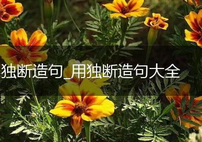 独断造句_用独断造句大全