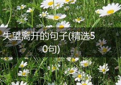 失望离开的句子(精选50句)