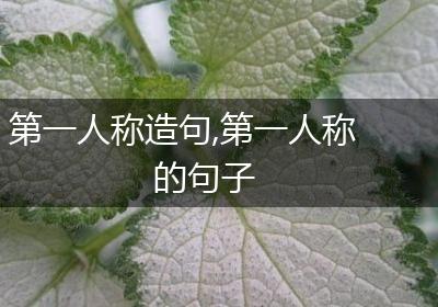 第一人称造句,第一人称的句子