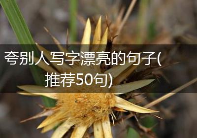 夸别人写字漂亮的句子(推荐50句)