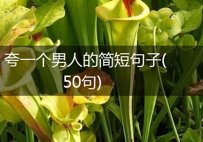 夸一个男人的简短句子(50句)