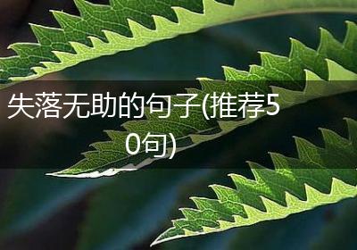 失落无助的句子(推荐50句)