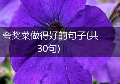 夸奖菜做得好的句子(共30句)
