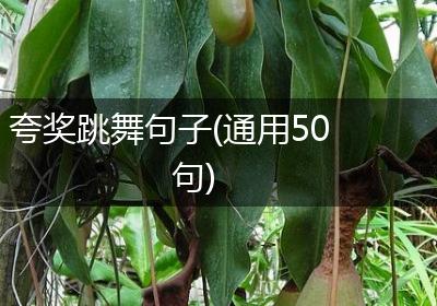 夸奖跳舞句子(通用50句)