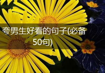 夸男生好看的句子(必备50句)