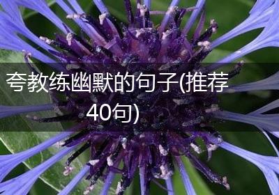 夸教练幽默的句子(推荐40句)