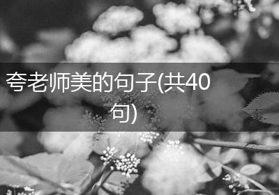 夸老师美的句子(共40句)