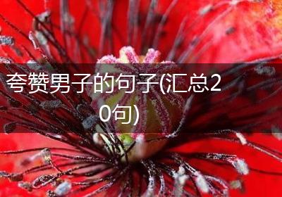 夸赞男子的句子(汇总20句)