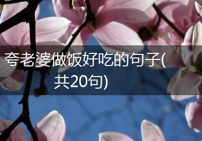 夸老婆做饭好吃的句子(共20句)