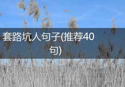 套路坑人句子(推荐40句)