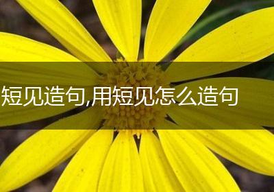 短见造句,用短见怎么造句