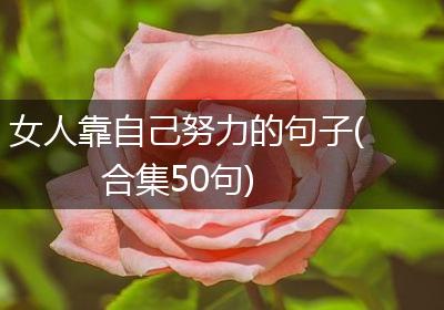 女人靠自己努力的句子(合集50句)