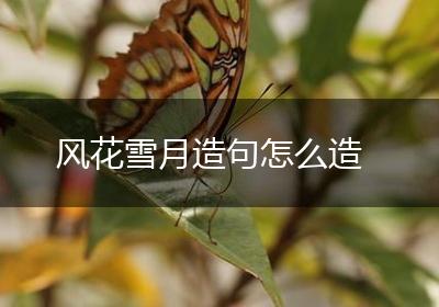 风花雪月造句怎么造