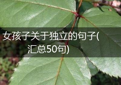 女孩子关于独立的句子(汇总50句)