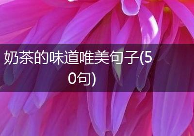 奶茶的味道唯美句子(50句)