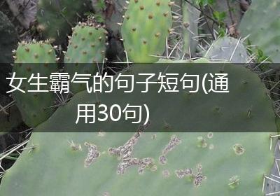 女生霸气的句子短句(通用30句)