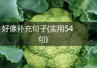 好像补充句子(实用54句)