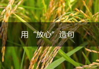 用“放心”造句