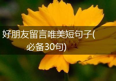 好朋友留言唯美短句子(必备30句)