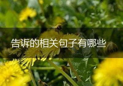告诉的相关句子有哪些